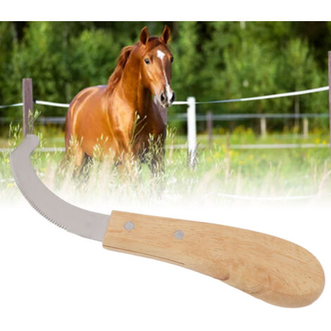 Afilador de limas para caballos: diseño ergonómico con hoja de carbono dentada y mango de madera engomado. Afilado preciso y comodidad duradera.