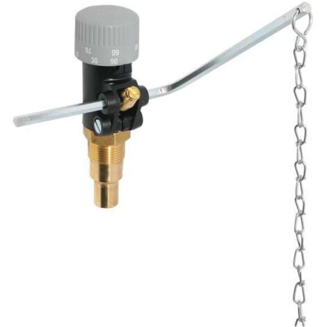 Afriso Feuerungsregler Feuerzugsregler FR 1 40-100°C 3/4'' AG 42294