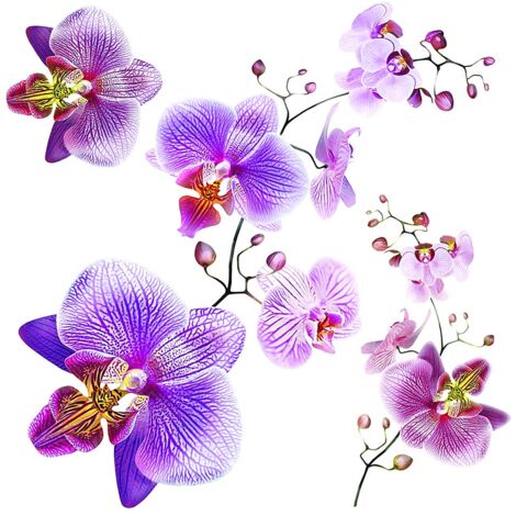 Ag Design SS 3859 Wall Sticker Disney-Autoadesivo, (Set di 3), Multicolor, 30 x 30 cm