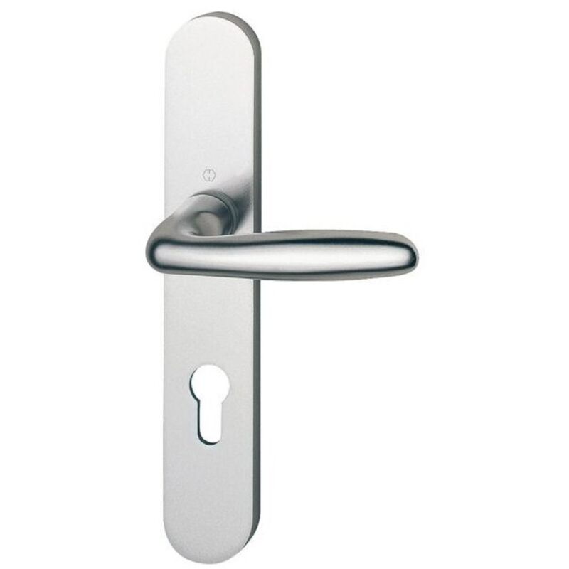 Ensemble de porte verona anodise argent - bec de cane