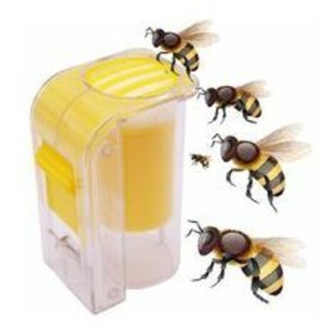 AGE Queen Bee Catcher Cage Bee Reine marquage Catcher en plastique Une bouteille marqueur Handed Plongeur en peluche Apiculteur Outils Apiculture
