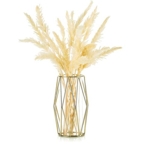 AGE Vase d'herbe, vase en verre doré avec support en métal géométrique, pot de fleurs décoratif scandinave, table centrale de bureau, trompette dorée de mariage
