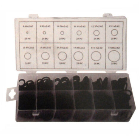 Aglaia O-ring Assortimento 300 Pezzi