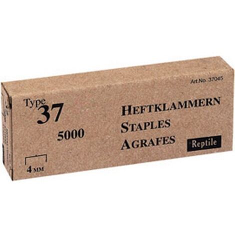 Agrafe n° 37 (13), acier, Long. : 4 mm