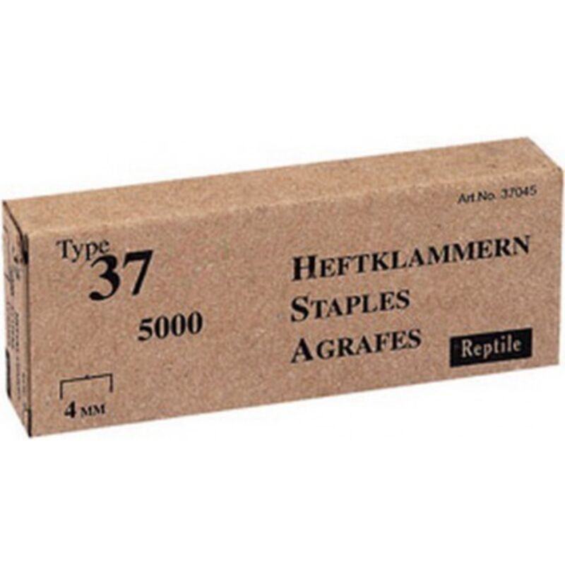 Agrafe n° 37 (13), acier, Long. : 10 mm