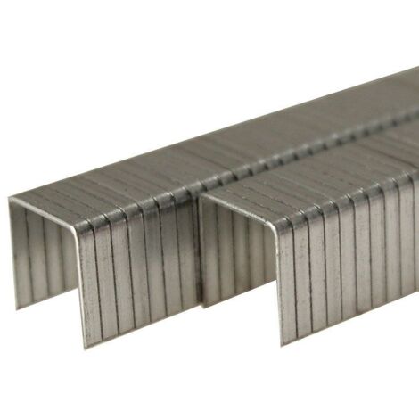 Agrafes Bostitch 13 2x18 mm 4000 pcs . TYPE 110 acier