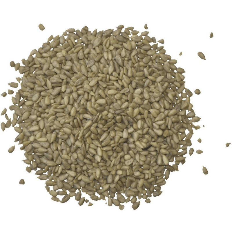 Agrarshop Graines de tournesol décortiquées 20 kg Voglefutter Nourriture pour toute l'année