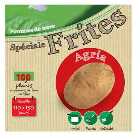 Agria 100 Plants de pomme de terre. . Marque : DEBAERE. Réf. : Agria 100 Pla