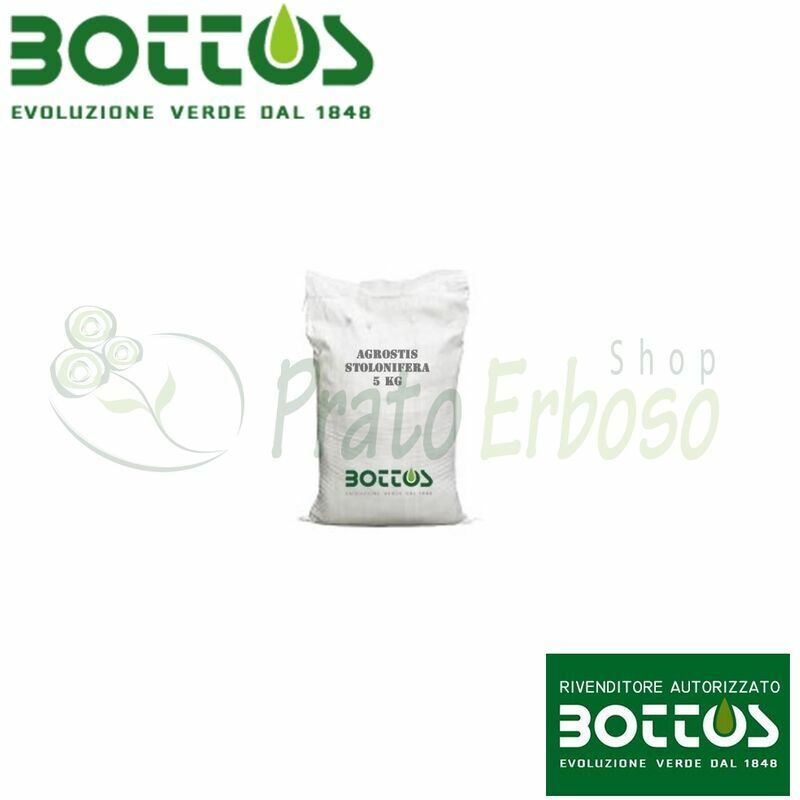 

Agrostide Stolonifera Alpha - Semillas para césped de 1 Kg