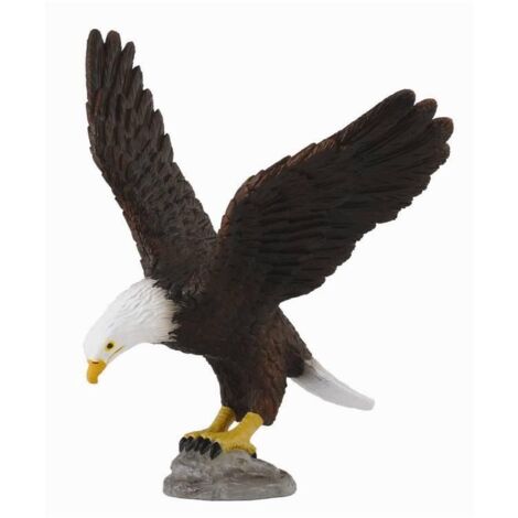 Águila calva