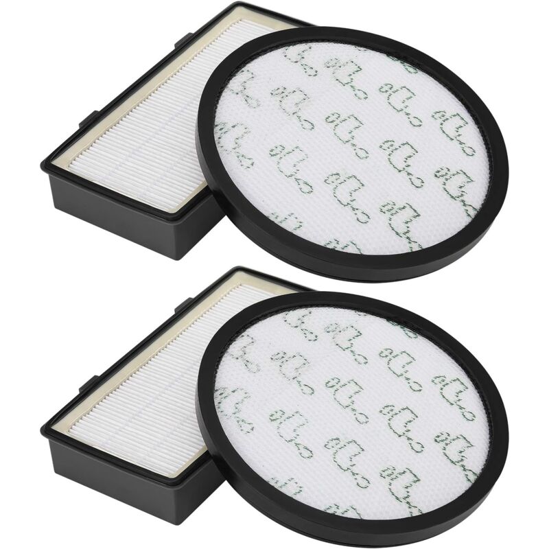 2 Pack Filtres Pour Rowenta Aspirateur Cyclonic X-Trem Power RO6984EA RO7230EA RO7260EA RO6941EA RO6963EA RO6921EA RO6971EA RO6993EA (RO69 x x),