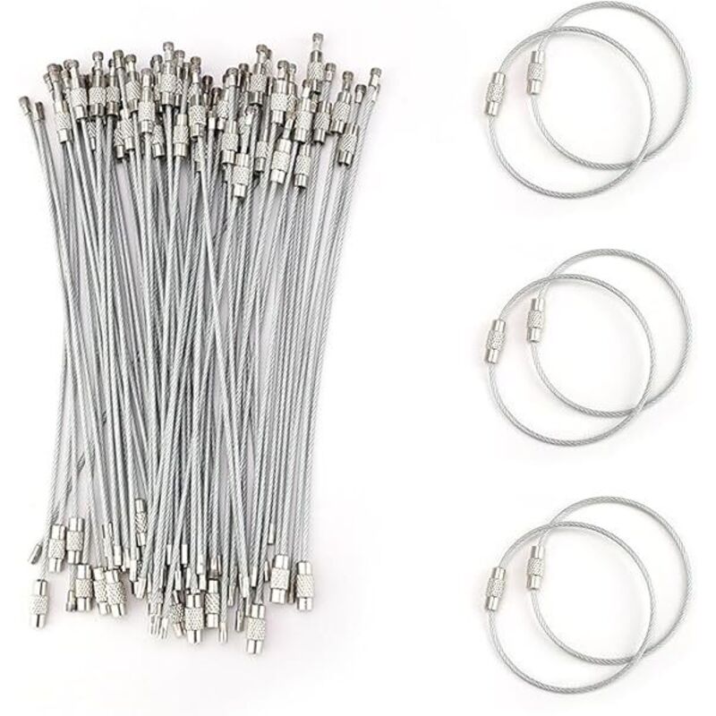 Ahlsen 65 Pièces Porte Clés, Anneau Porte Clef, Extensible Porte Clé Fil Acier, Enduit de Nylon, Acier Inoxydable Etiquette Porte Clef, Argenté Porte