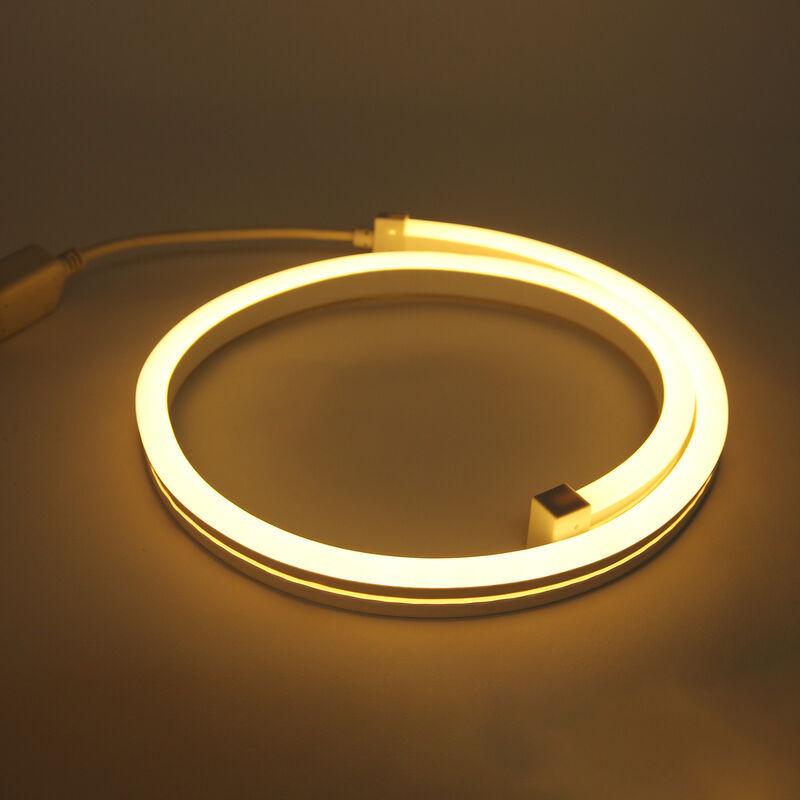 Ahlsen - Bande de néon rvb, 24V led indoor waterproof, 1M bande de néon pour décoration, mariage, salle, fête, (blanc chaud 3000k)