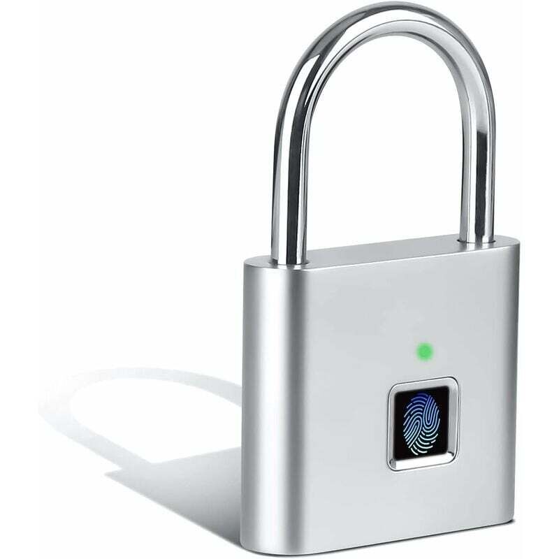Ahlsen Cadenas à Empreintes Digitales Intelligent, Argenté avec Fonction de Chargement USB, pour Casier, Valise (Argent, 43X67mm)