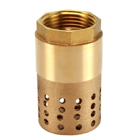 Ahlsen Clapet anti-retour pompe 1 pouce - clapet de pied clapet anti retour (1 pouce)