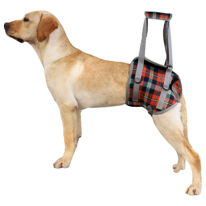 Harnais de Soutien pour Chiens Réglable Harnais pour Chien Handicapé pour Les Jambes Arrière, Maille Harnais Levage avec Poignée pour l'Aide Canine