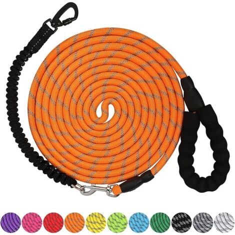 Ahlsen Laisse pour chien 10 m Laisse robuste avec crochet pivotant verrouillable et fils réfléchissants Laisse élastique pour chien Poignée rembourrée confortable pour la marche pour petit, moyen et g