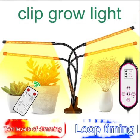 Lampe plante oase xxl – BucketBloom Erhverv