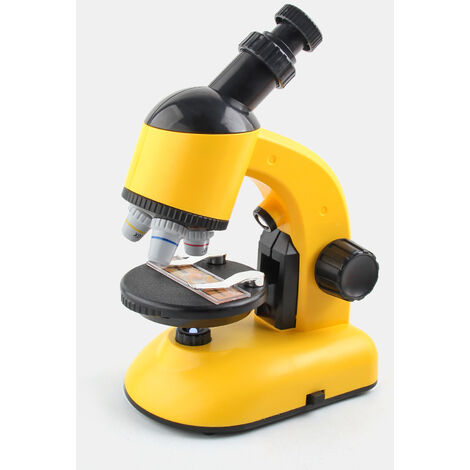2PCS Microscopes Mini microscopes à LED 60 X - Loupe de lecture - Microscope  de poche - 60 x - Mini microscope en métal - Loupe réglable avec lumière UV  - Pour bijoutiers, enfants, étudiants