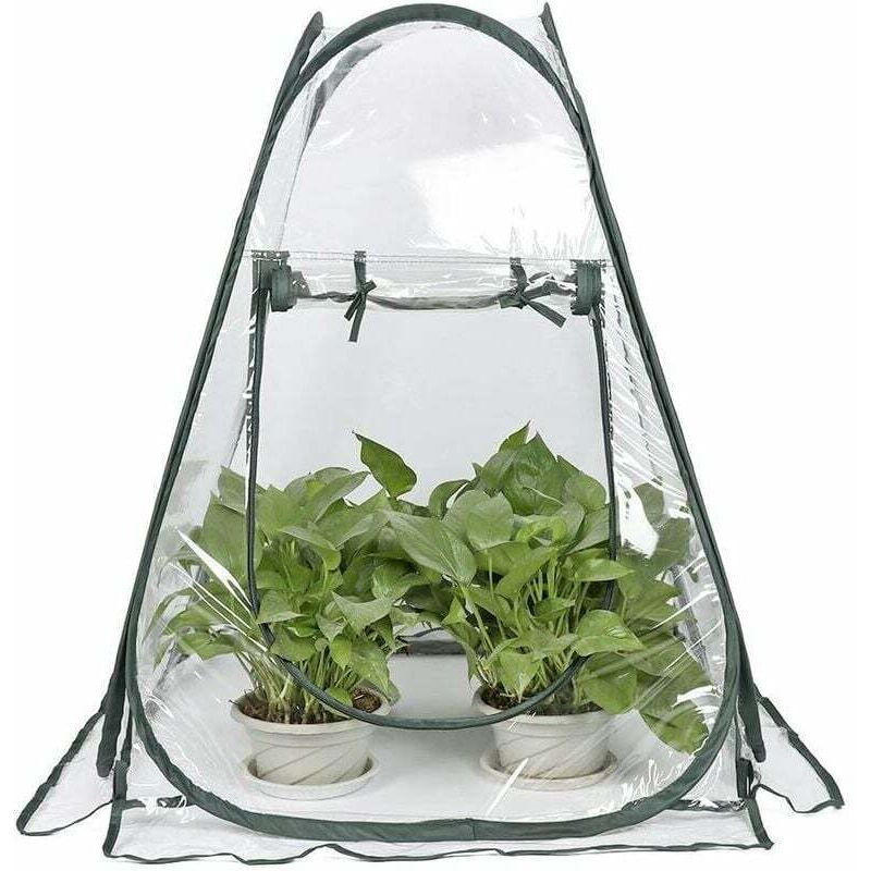 Ahlsen - Mini Serre Pop up Grow House, Couverture de Serre intérieure extérieure en pvc, Petit abri de Fleurs de Jardin Portable - 70 x 70 x 80 cm