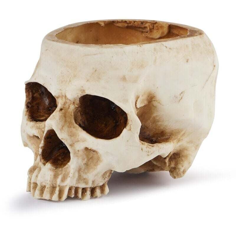 Ahlsen - Pot de Fleurs Tête de Mort en Résine Vase Tête de Mort Modèle de Tête en Résine pour Halloween Fête, Décorations d'Intérieur