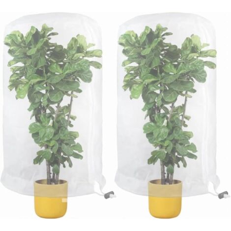 Ahlsen Red para árboles frutales, 2 unidades, red protectora contra insectos, red protectora para plantas, red protectora contra plagas para verduras, flores, frutas, 0,8 x 0,8 m