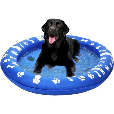 Aide à la natation pour chien pour piscine - aide à la natation gonflable