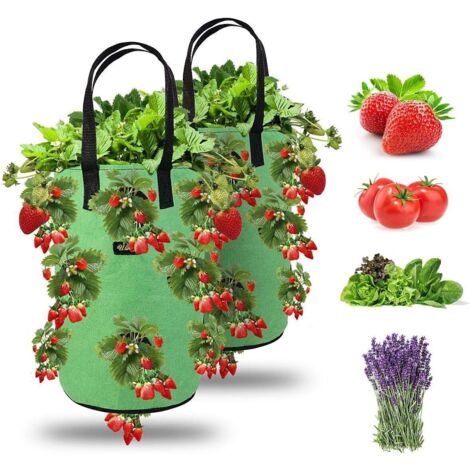 AIDUCHO 2pcs Sac De Plantation Pour Fraise, Sacs De Culture À Fraises Suspendu Jardin Avec 13 Trous, Sac De Plantation Pour Fraises, Herbes, Tomates - 3 Gallons (2pcs - Vert)