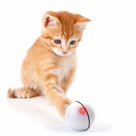 Balle Chat A Prix Mini