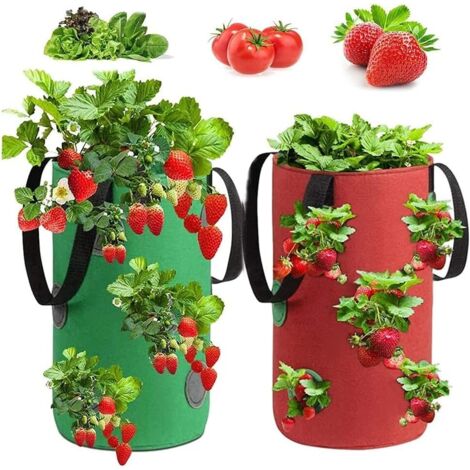 AIDUCHO Sac De Plantation Fraises,2 Pièces Sac Culture Fraises,Sacs De Plantation De Jardin,Sac De Culture De Fraises En Non Tissé, Sac À Fraisiers,Pour Fraises, Herbes, Fleurs (3gallon, 20x35cm)