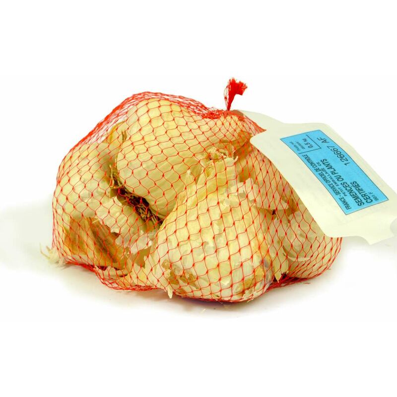 Bulbes Potagers - Ail rose variété Flavor. Bulbes à planter - Filet 500 g