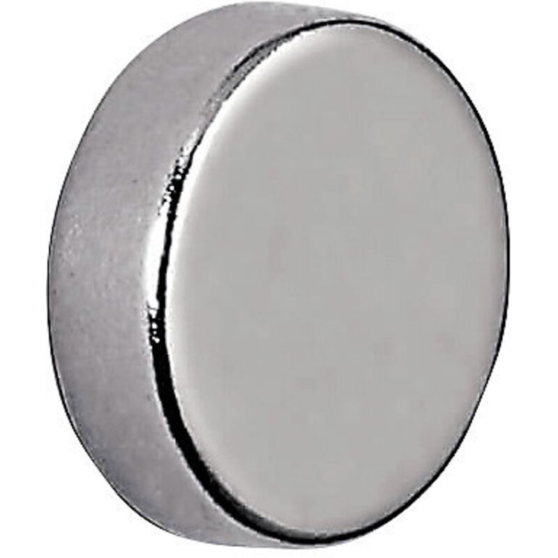 Maul - Disque magnétique en néodyme, ø 10 mm, lot de 50, force Maul - Disque magnétique en néodyme, ø 10 mm, lot de 50, force