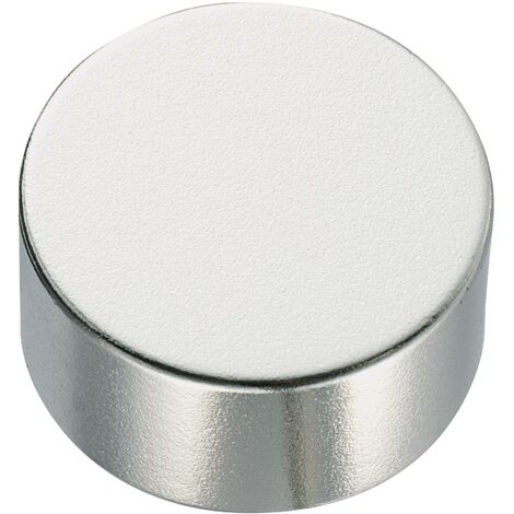 Aimant permanent anneau N45 1,37 T température limite (max.) : 80 °C Tru Components S839541