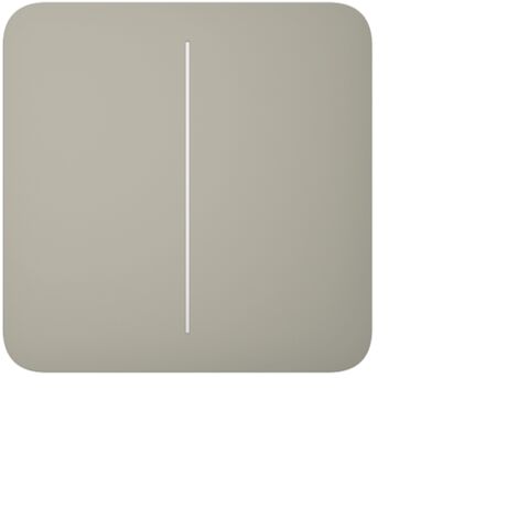 AJAX - 52152 - SoloButton (2-fach) [55] ASP , Lichtschaltertaster