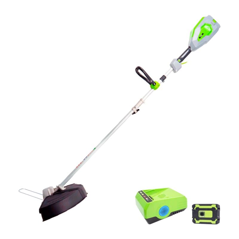 60V Débroussailleuse + Batterie + Chargeur - Akita