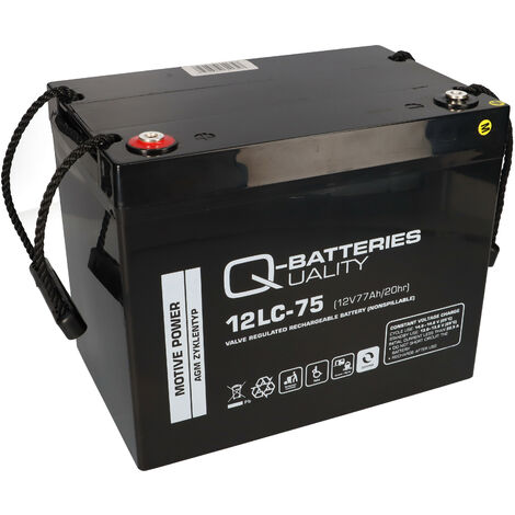 Akku kompatibel E-Mobil Invacare 2x 12V 75Ah (77Ah)