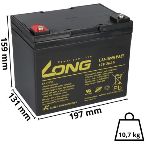 Akku-Satz 24V 36Ah passend für EMG Vista DX Kolja SR3.17