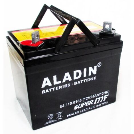 SECURA Batterie 12V 22Ah Tracteur Tondeuse - Compatible Blisar BE24/107