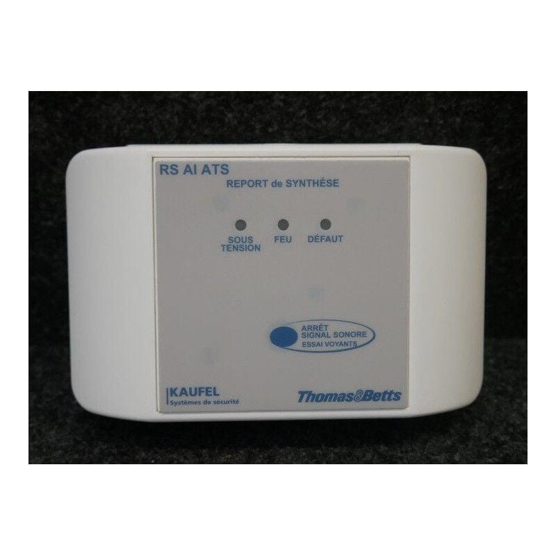 Kaufel - Report de synthèse pour alarme incendie Type 2b & alarme technique 164x110x63mm