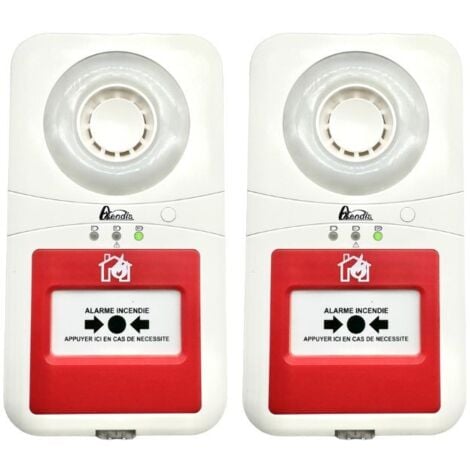 Alarme type 4 autonome à pile x2 - Axendis