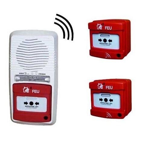Alarme type 4 radio avec 2 déclencheurs pour ERP