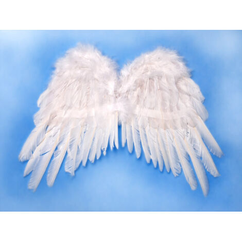 Alas de ángel, blancas, 53 x 37 cm