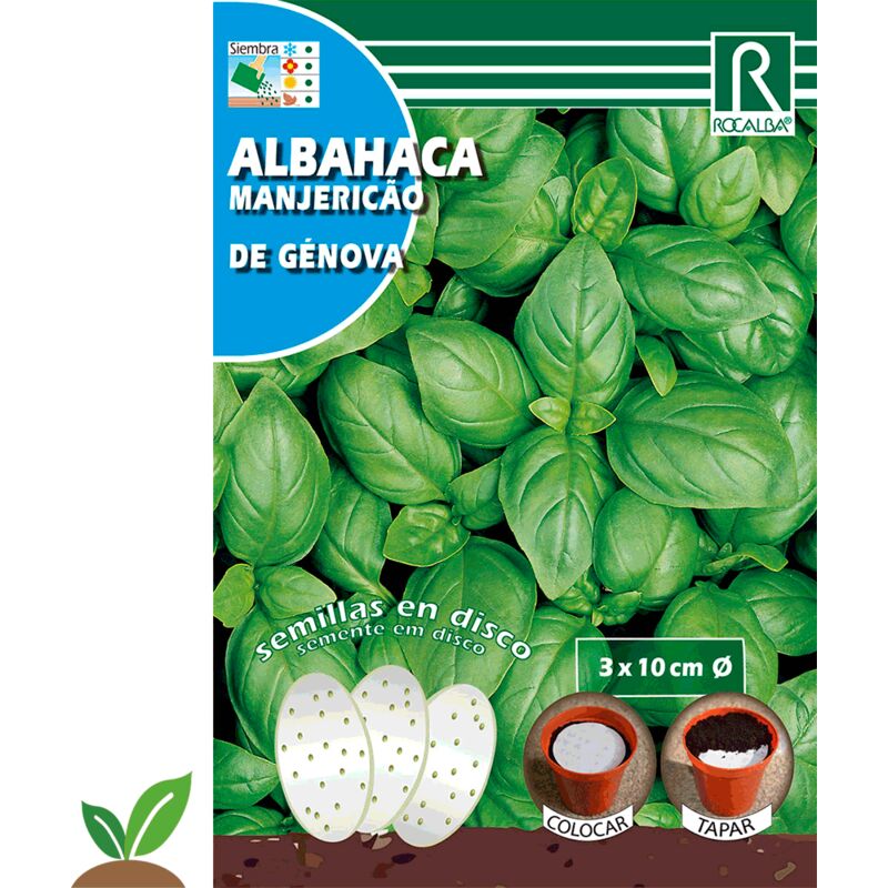 

Albahaca De Genova