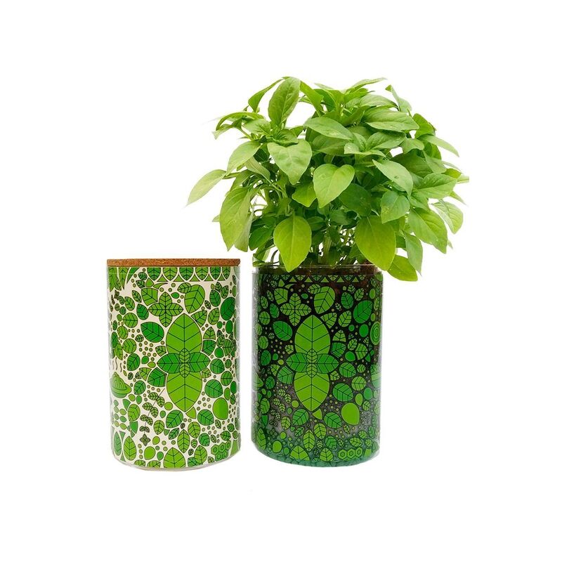 

Garden Pocket - Albahaca tubo cristal