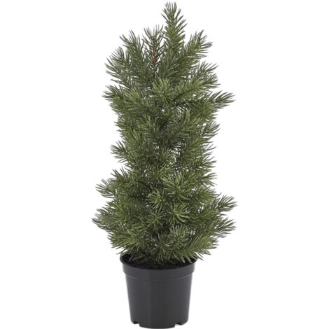 Alberello di Natale pino con vaso con punte, decorazione in plastica -40 cm
