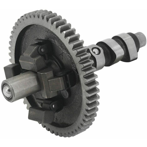 ALBERO A CAMMES BRIGGS &amp STRATTON - 845649
