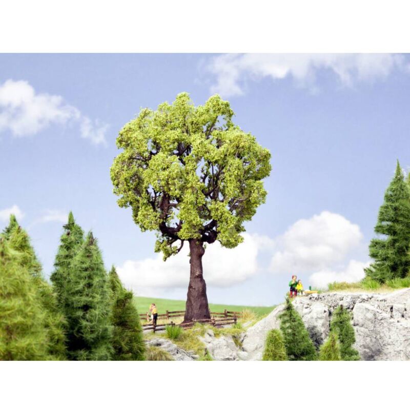 Una immagine