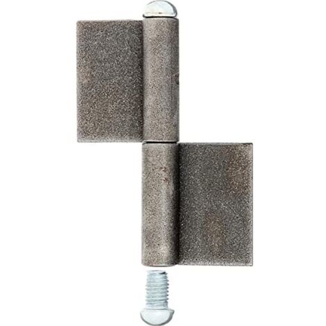 Alberts 414412 Cerniera per cancelli Metallici, Acciaio, 100 mm / Ø9 mm / 10 Stück