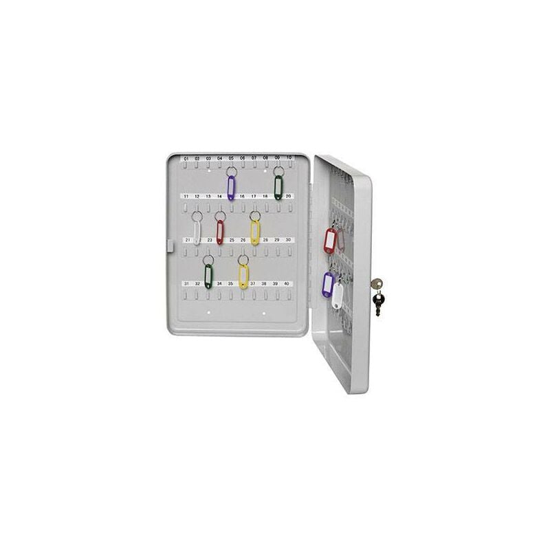 ALCO Boîte à clés 891 Nombre de crochets 30 gris clair Q671872