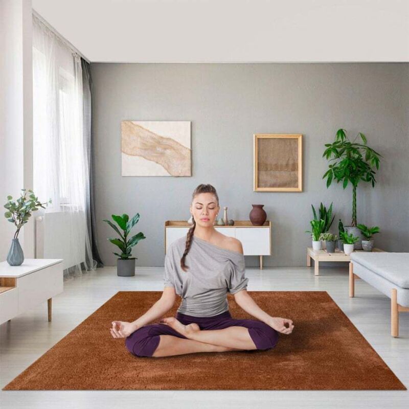 

Alfombra antiestática y anti estrés moderna para el diseño de la sala de estar Milano AVA101 | 133 x 190